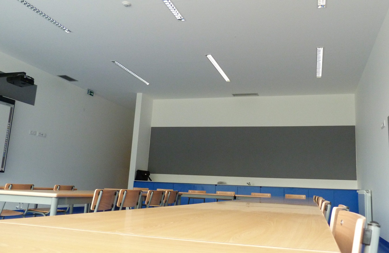 company project