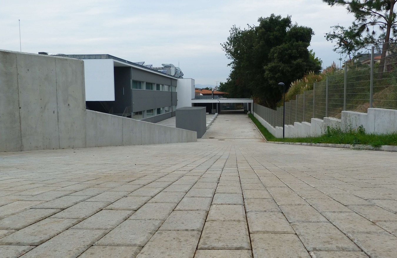 company project