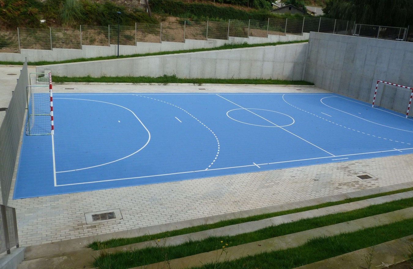 company project