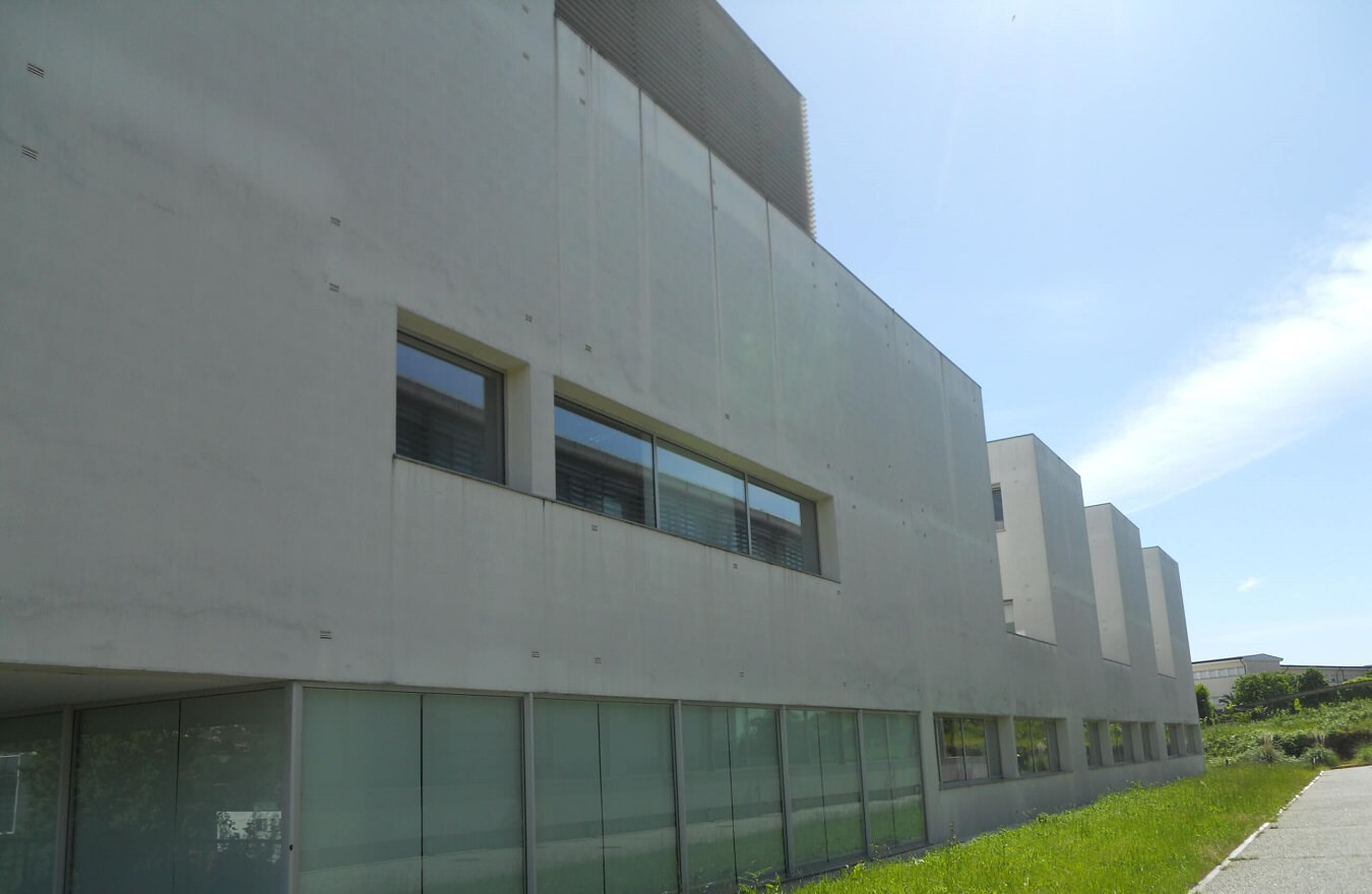 company project