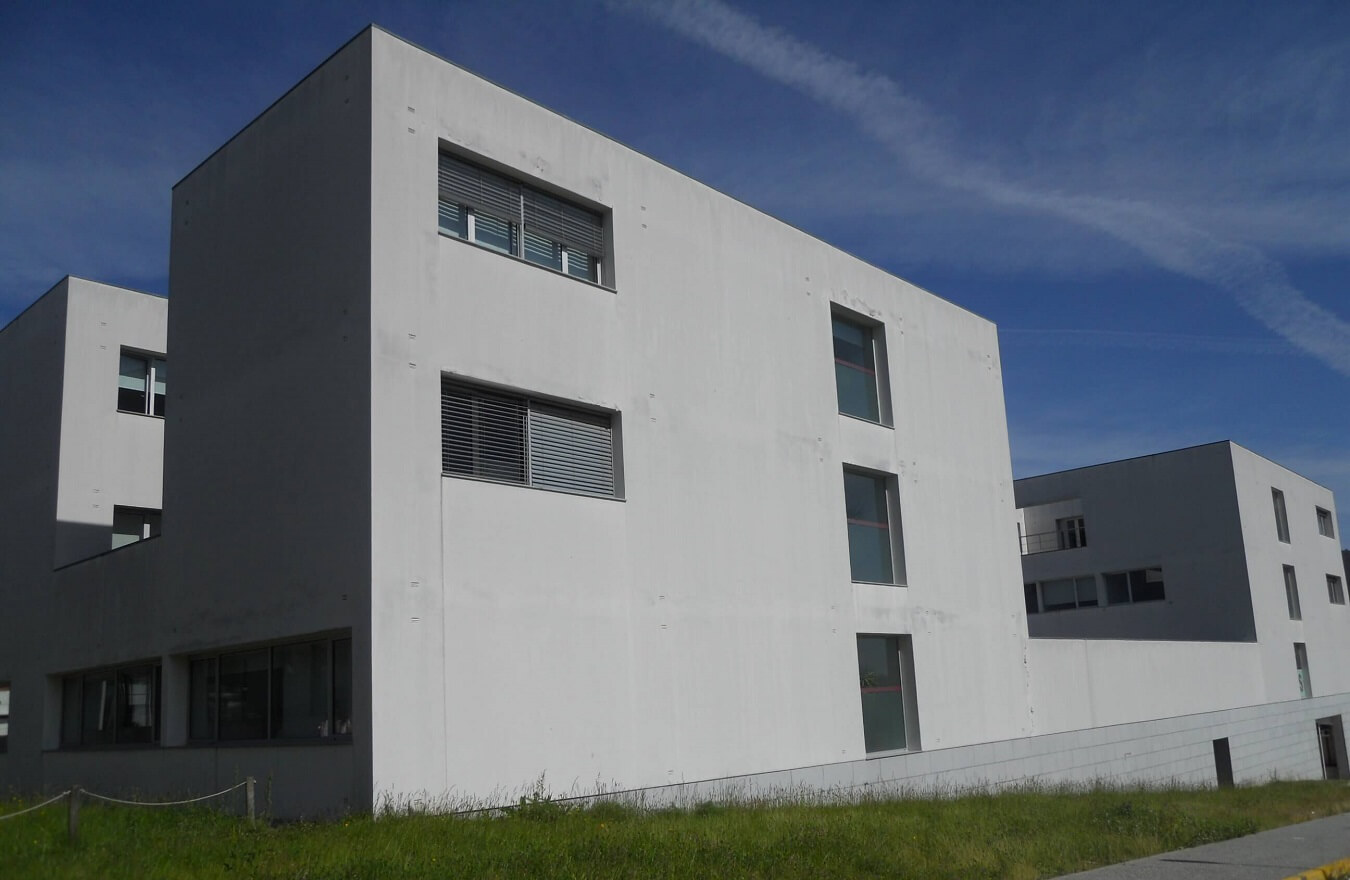 company project