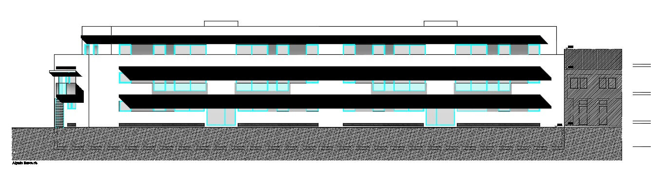 company project