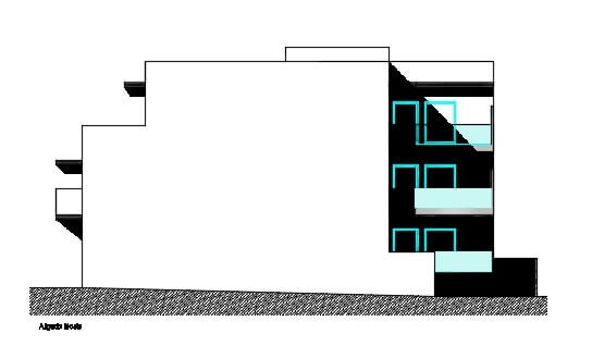 company project