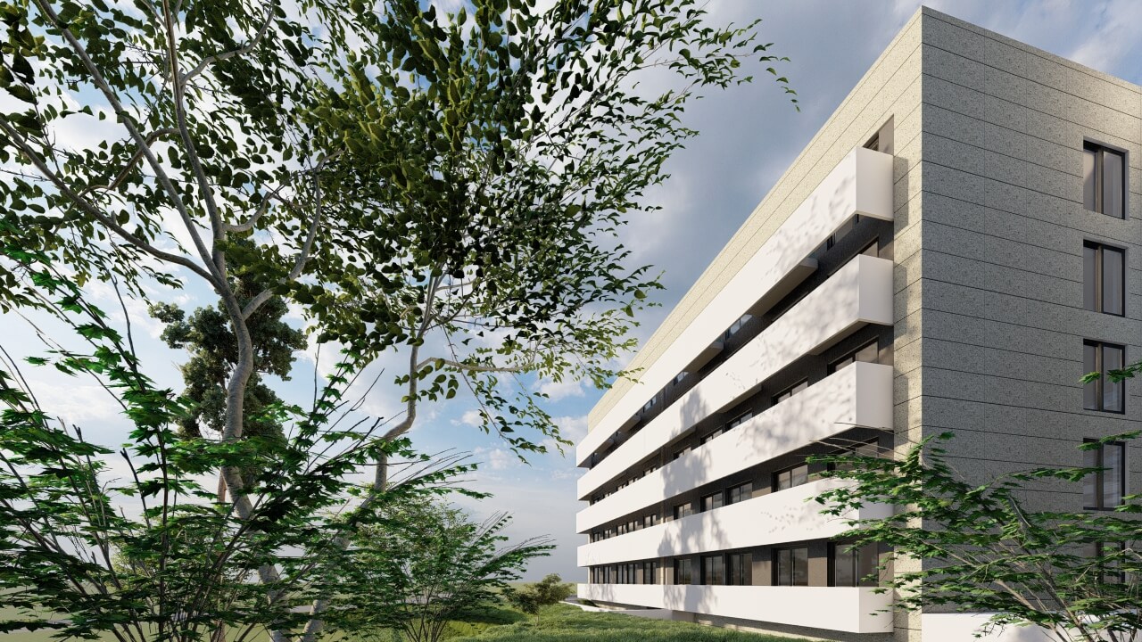 company project
